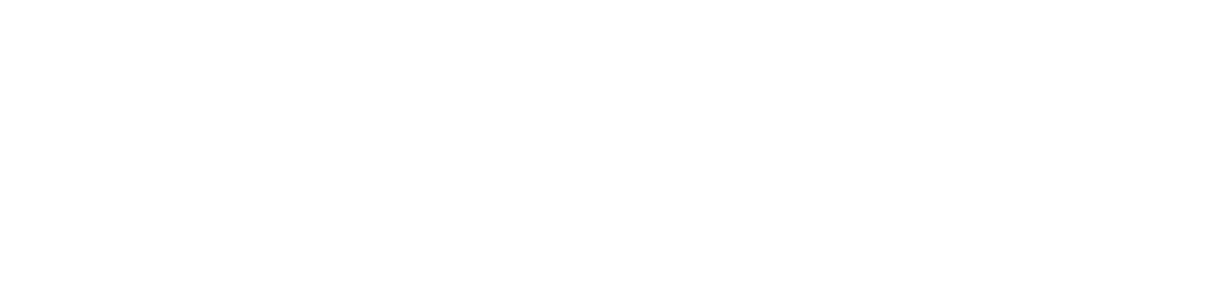 Finanziato dall'Unione europea